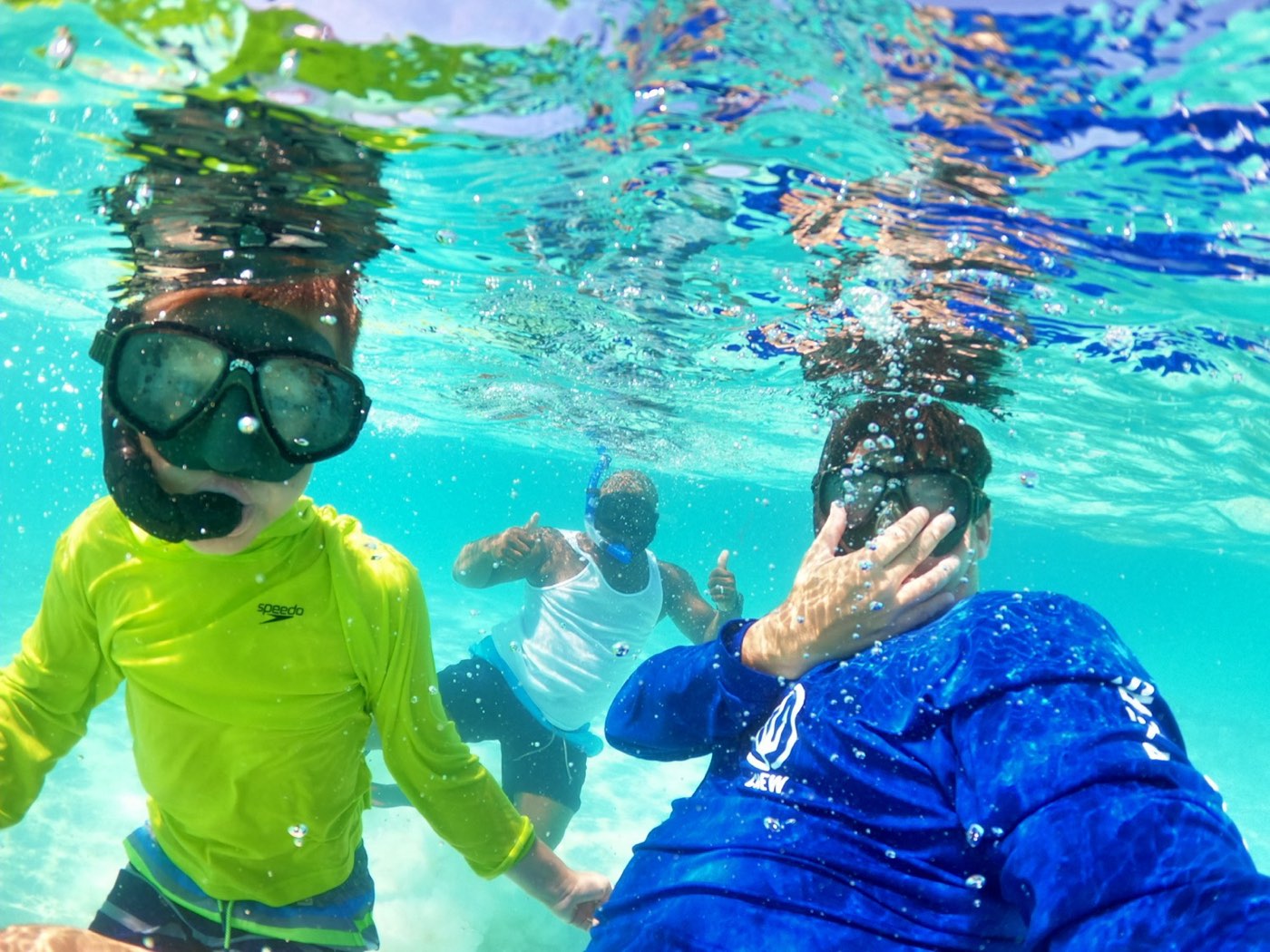 A child snorkelling and holding up a conch underwater