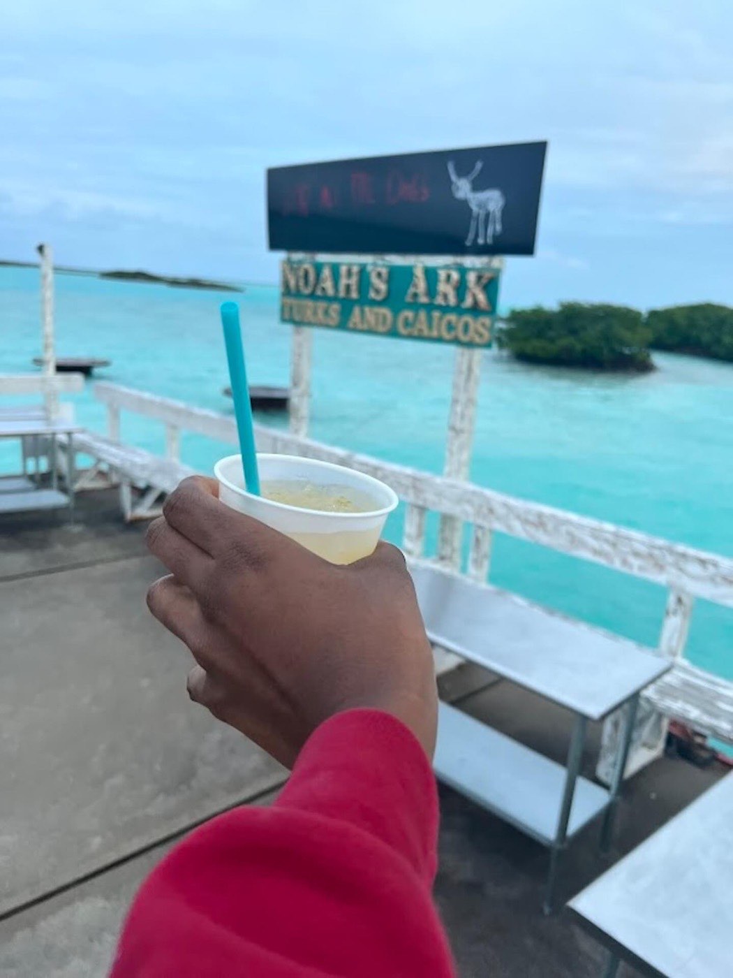 A cocktail held up in front of the Noah's Ark sign
